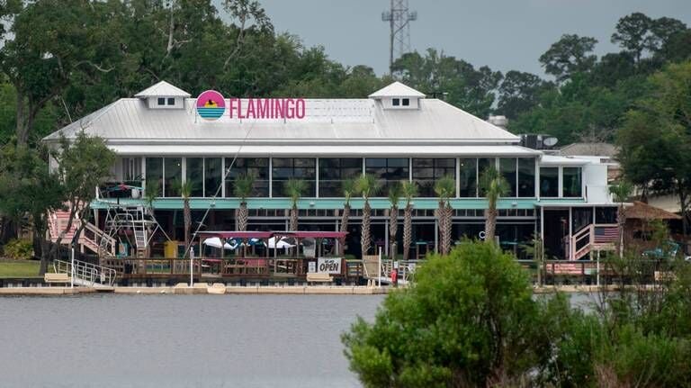 Flamingo